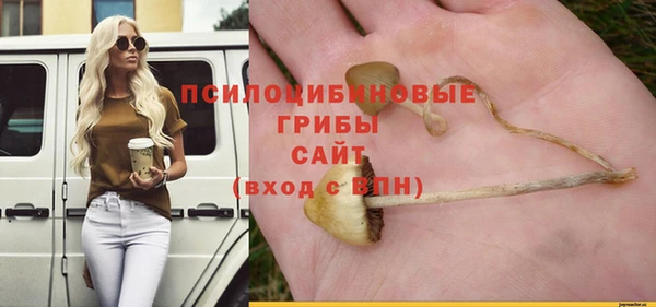ПСИЛОЦИБИНОВЫЕ ГРИБЫ Наволоки