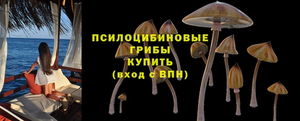 ПСИЛОЦИБИНОВЫЕ ГРИБЫ Наволоки