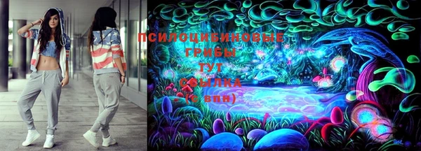 ПСИЛОЦИБИНОВЫЕ ГРИБЫ Наволоки