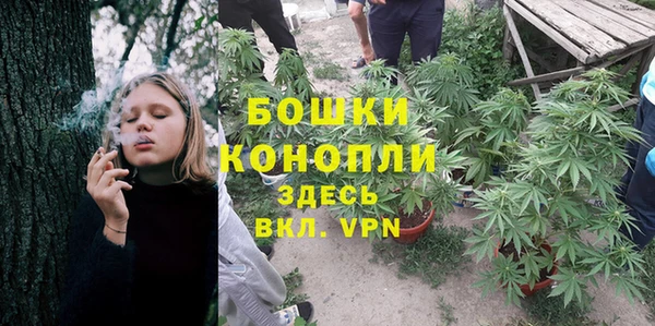 ПСИЛОЦИБИНОВЫЕ ГРИБЫ Наволоки