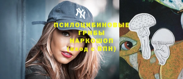 ПСИЛОЦИБИНОВЫЕ ГРИБЫ Наволоки