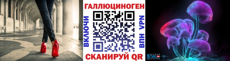 Псилоцибиновые грибы мухоморы  купить наркотики сайты  Чадан 